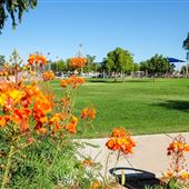 Guerrero Rotary Park