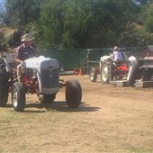 1951 Ford 8N tractor