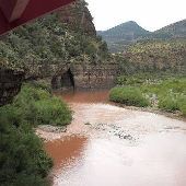 Salt River