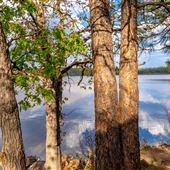 Show Low Lake