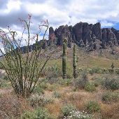 Lost Dutchman State Park