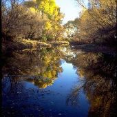 Sierra Vista