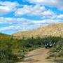 Trail Dust Adventures