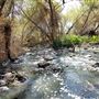 Rio Salado Habitat Restoration