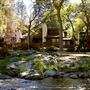 Junipine Resort