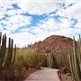 Desert Botanical Garden