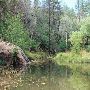 Tonto National Forest - Payson Ranger District