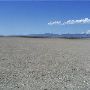 Willcox Playa Wildlife Area