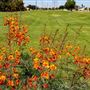 Valencia Park