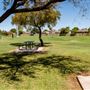 Pequeño Park