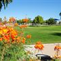 Guerrero Rotary Park