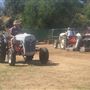1951 Ford 8N tractor