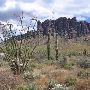 Lost Dutchman State Park