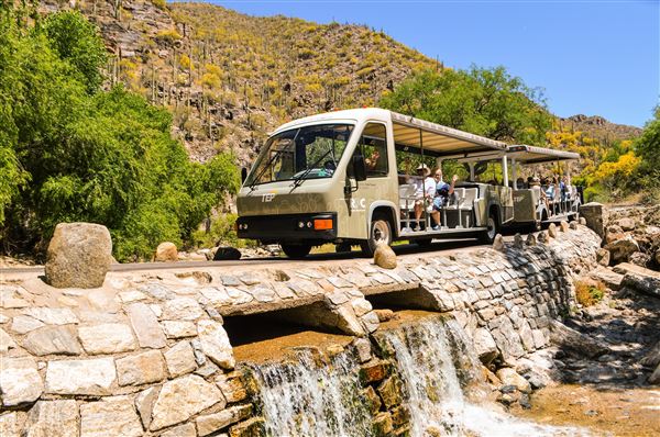 Sabino Canyon (5/21/2025)