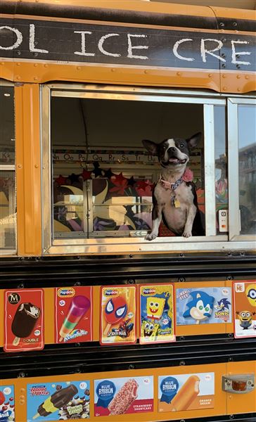 Old School Ice Cream Bus