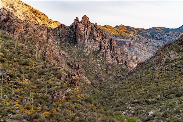 Sabino Canyon (5/21/2025)