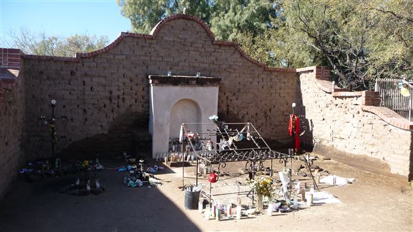 Barrio Viejo (11/1/2021)