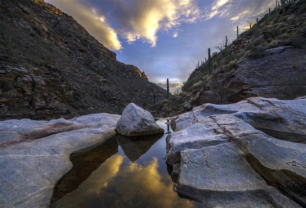Sabino Canyon (5/21/2025)