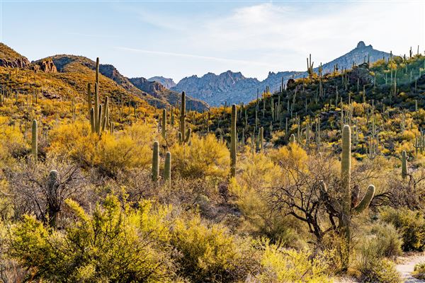 Sabino Canyon (5/21/2025)