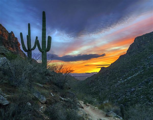 Sabino Canyon (5/21/2025)