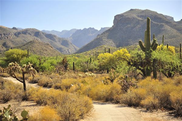 Sabino Canyon (5/21/2025)