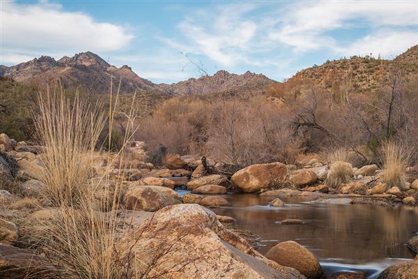 Sabino Canyon (5/7/2019)