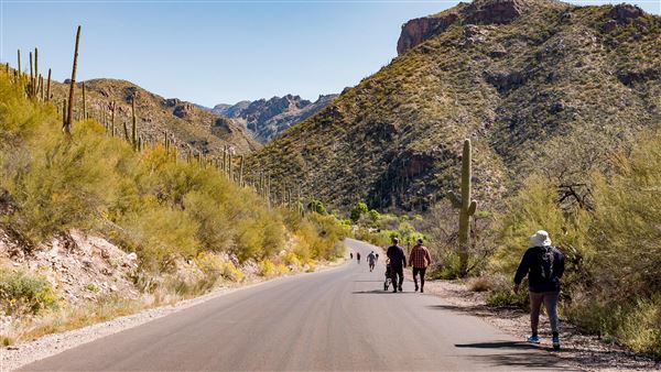 Sabino Canyon (5/21/2025)