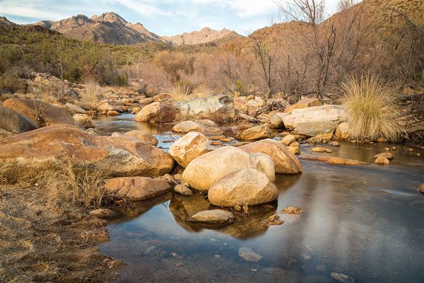 Sabino Canyon (5/7/2019)