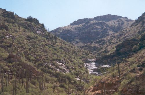 Sabino Canyon (7/15/2005)