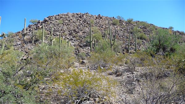 Cocoraque Ranch