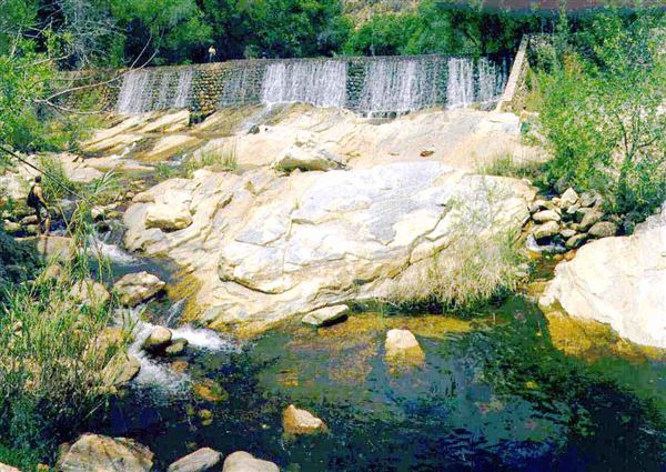 Sabino Canyon (7/15/2005)