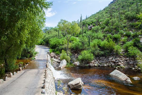 Sabino Canyon (5/21/2025)