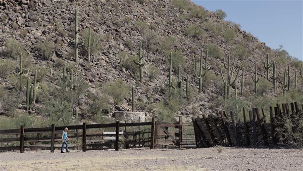 Cocoraque Ranch