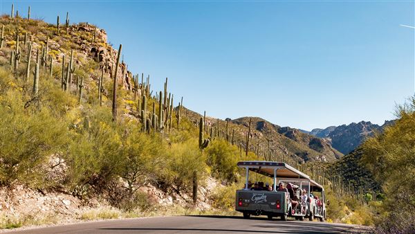 Sabino Canyon (5/21/2025)