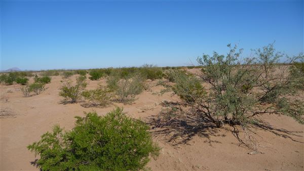Cocoraque Ranch