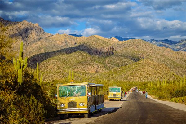 Sabino Canyon (5/21/2025)